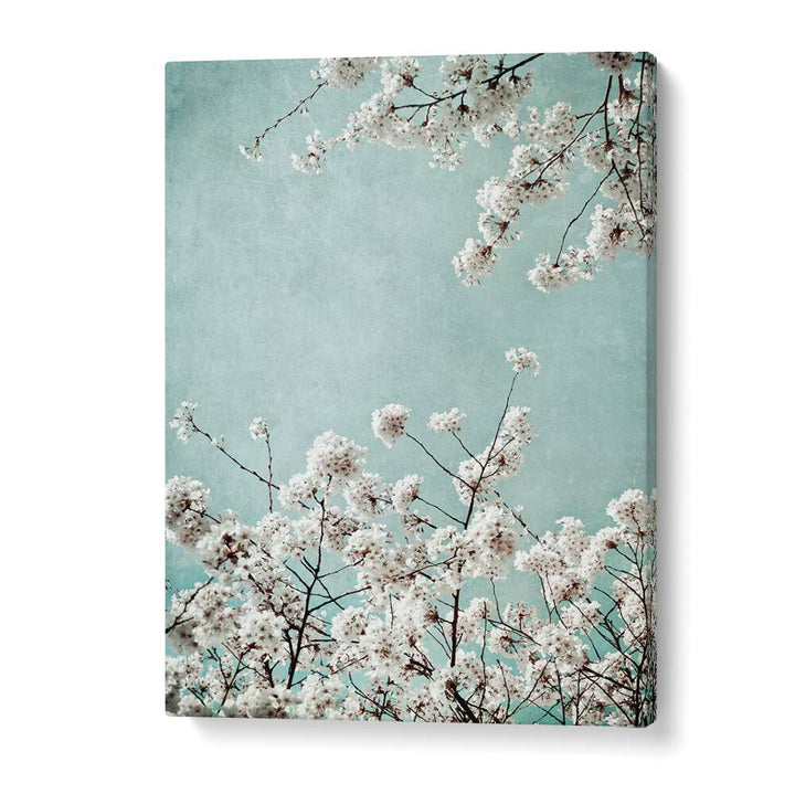Vibrant SPRING TIME, FLORAL FLOWER PAINTINGS showcasing delicate blossoms against a serene blue backdrop. Perfect for any space!