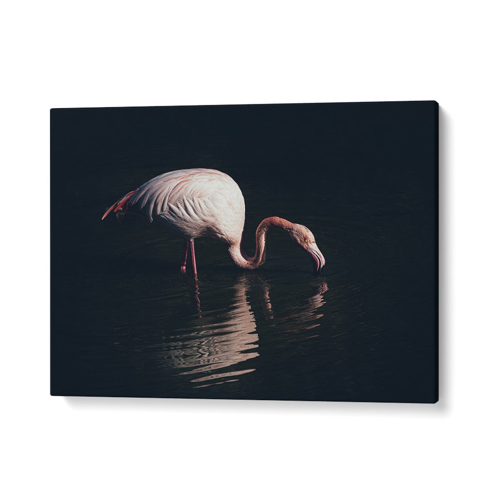 Elegant ENLIGHTED FLAMINGO, PHOTOGRAPHY PRINTS showcasing a flamingo reflecting in tranquil waters. Perfect urban art piece.