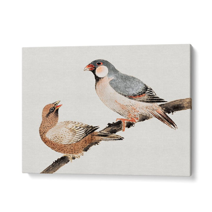 BIRDS FROM ALBUM OF SKETCHES (1814) , VINTAGE PAINTINGS