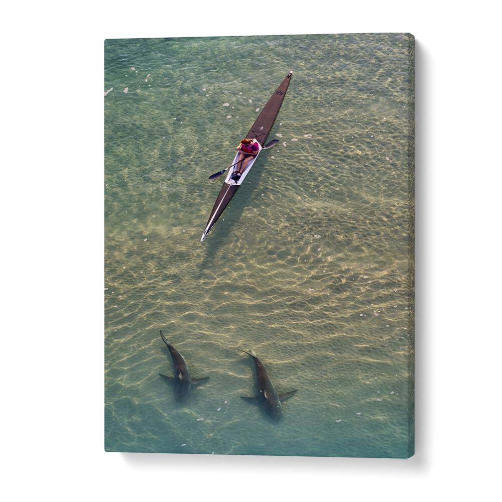 Experience the thrill of SHARKS COMPANION, PHOTOGRAPHY PRINTS with a kayaker gliding above majestic sharks.