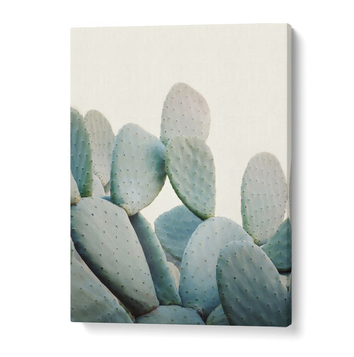 Vibrant PASTEL CACTI, FLORAL FLOWER PAINTINGS perfect for home decor, adding a colorful desert touch to any space.