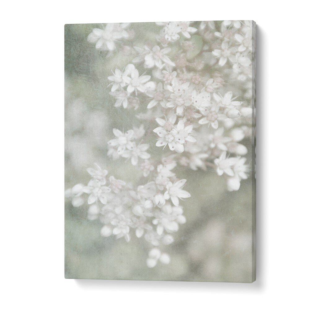 FADING, FLORAL FLOWER PAINTINGS showcase delicate floral brushstrokes in soft, dreamy hues for elegant decor.