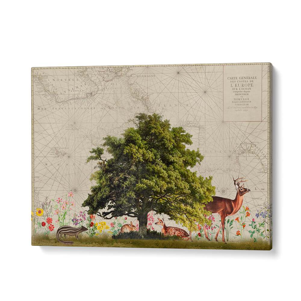 Serene wildlife scene in "NORDIC WOODS II, ANIMAL PAINTINGS" by Andrea Haase, showcasing nature's beauty.