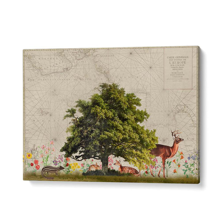 Serene wildlife scene in "NORDIC WOODS II, ANIMAL PAINTINGS" by Andrea Haase, showcasing nature's beauty.