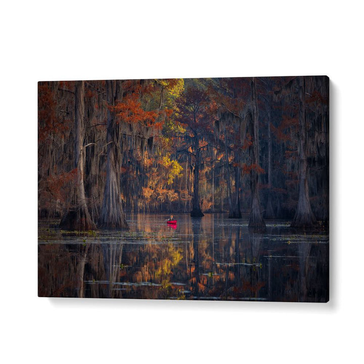 Serene Caddo Lake 2023 landscape with vibrant colors, perfect for CADDO LAKE 2023, PHOTOGRAPHY PRINTS enthusiasts.