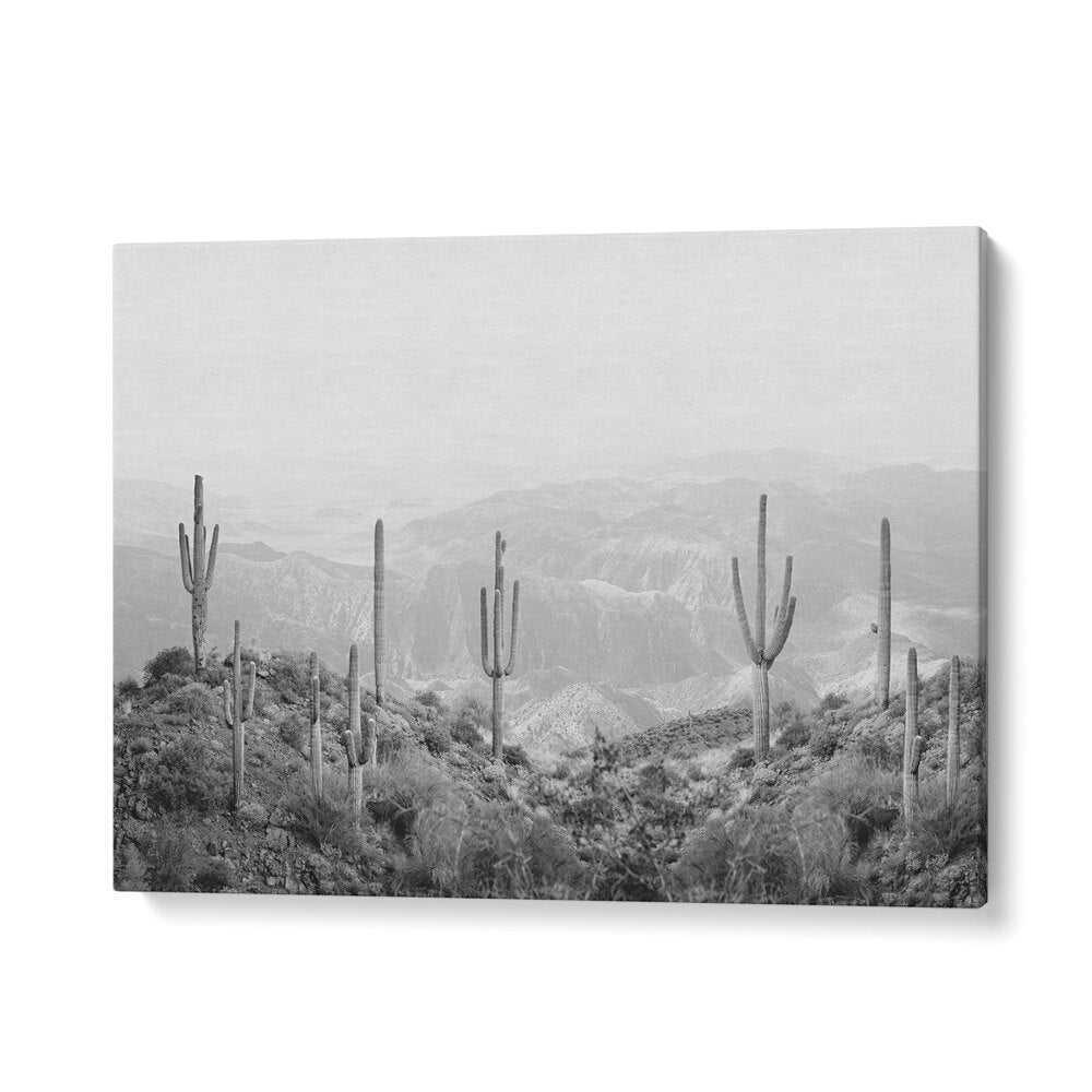 Elegant portrayal of WESTERN CACTUS, COWBOY landscape art, perfect for enhancing home decor and garden aesthetics.