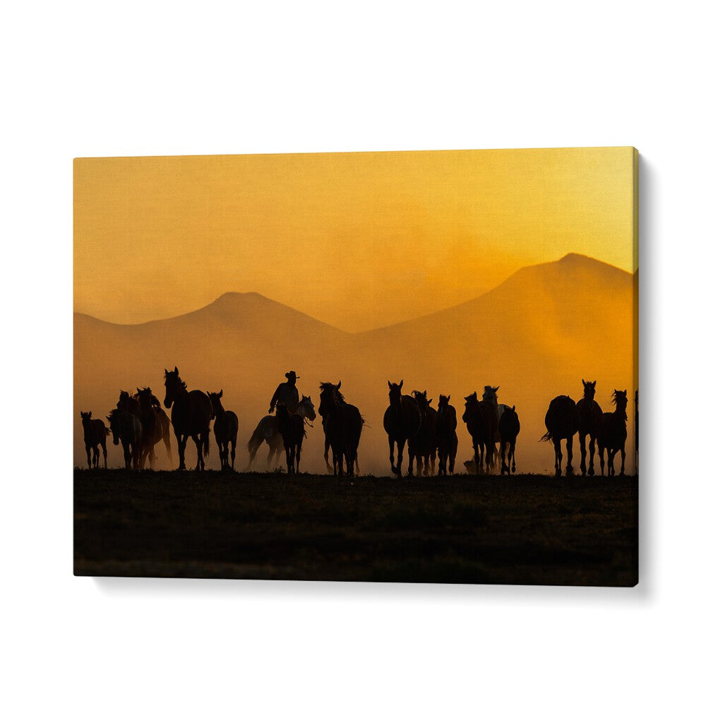 Silhouetted horses and a rider against a golden sunset in AS THE SUN GOES DOWN, PHOTOGRAPHY PRINTS collection.