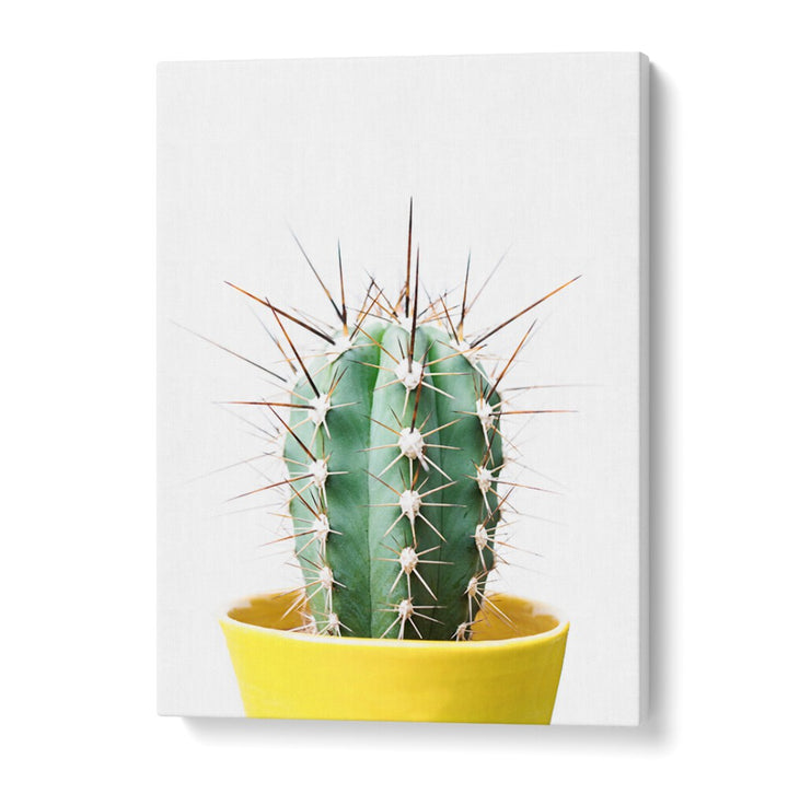 Vibrant SPIKEY CACTUS in a yellow pot, perfect for floral flower paintings and enhancing your garden decor.