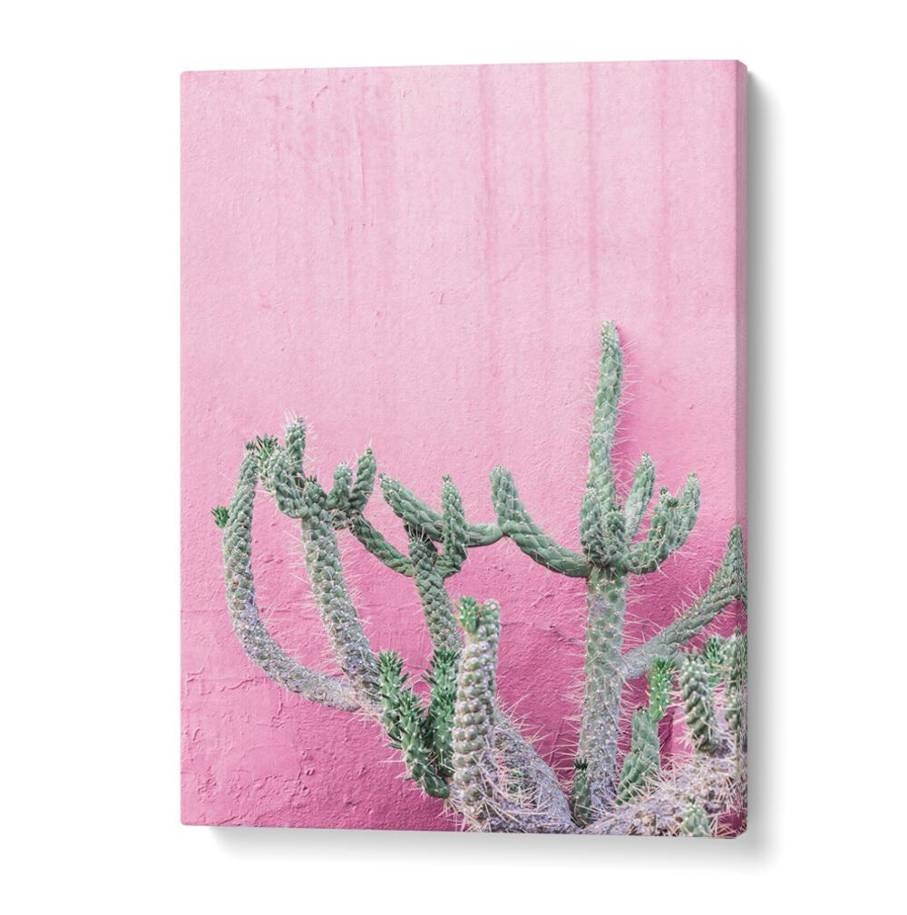 Brighten your space with CACTUS ON PINK, FLORAL FLOWER PAINTINGS featuring vibrant cactus against a soft pink backdrop.