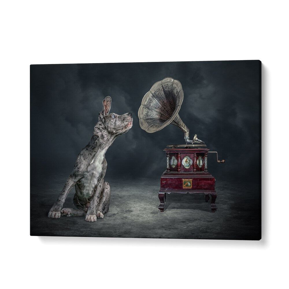 MUSIC DOG, PHOTOGRAPHY PRINTS showcase a surreal dog listening to a vintage gramophone in a captivating art piece.