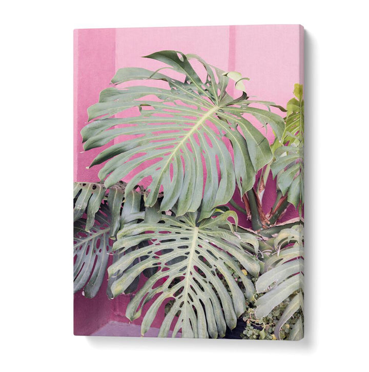 Stunning MONSTERA LEAF LA MURALLA, FLORAL FLOWER PAINTINGS for a vibrant, tropical home decor transformation.