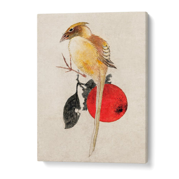 BIRD FROM ALBUM OF SKETCHES III , VINTAGE PAINTINGS