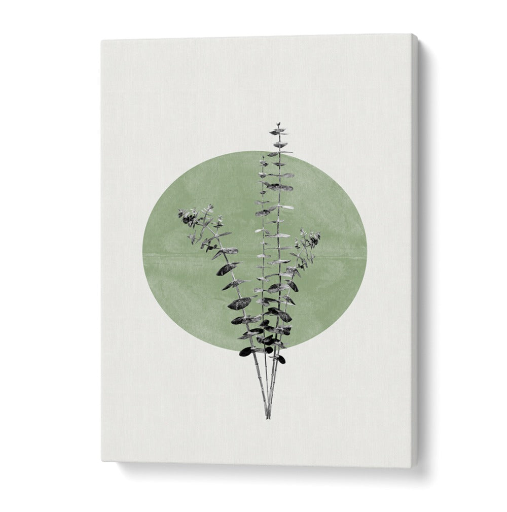 EUCALYPTUS AND GREEN MOON, FLORAL FLOWER PAINTINGS showcase serene botanicals against a tranquil green backdrop.