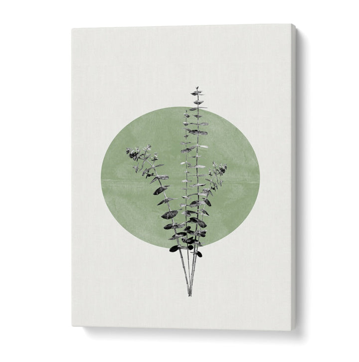 EUCALYPTUS AND GREEN MOON, FLORAL FLOWER PAINTINGS showcase serene botanicals against a tranquil green backdrop.