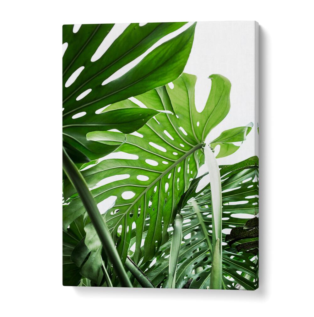 Lush green leaves capture the essence of JUNGLE, FLORAL FLOWER PAINTINGS, perfect for nature lovers.