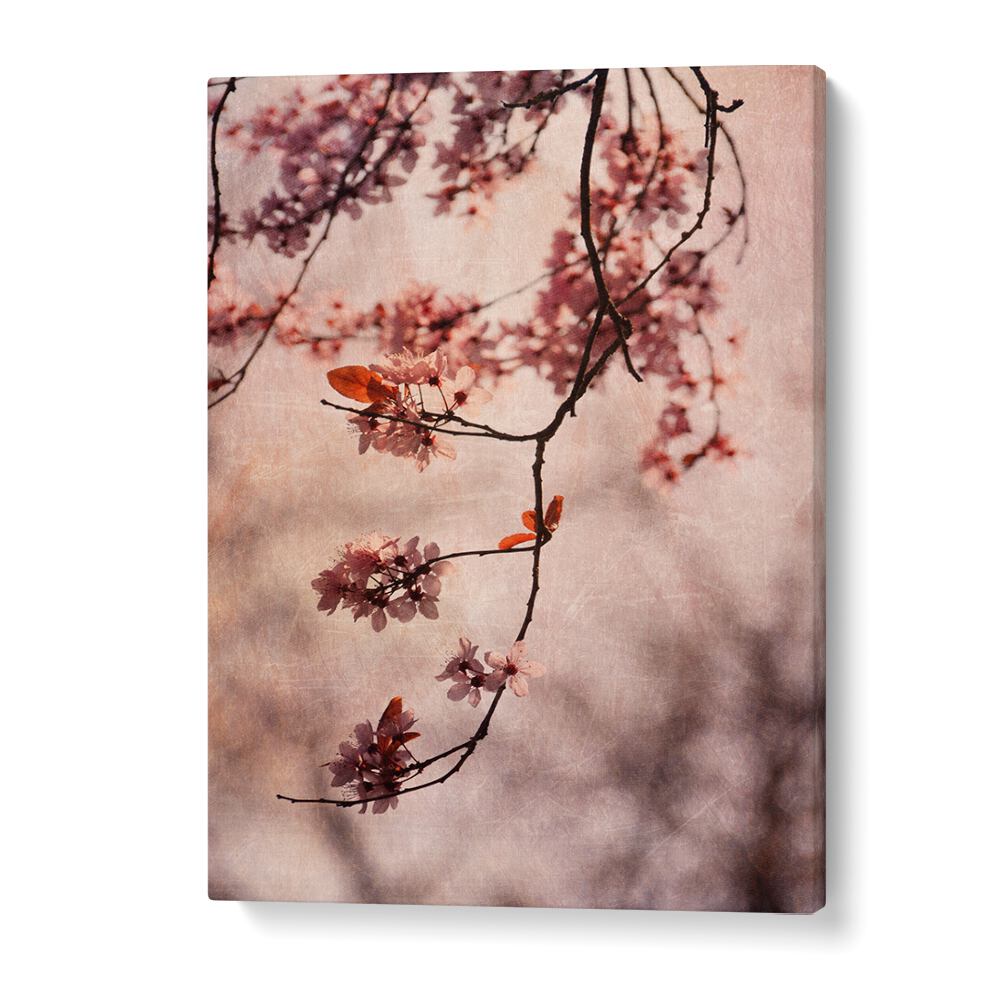 Delicate cherry blossoms bloom in this Vintage Pink Floral Flower Painting, perfect for enhancing your living space.