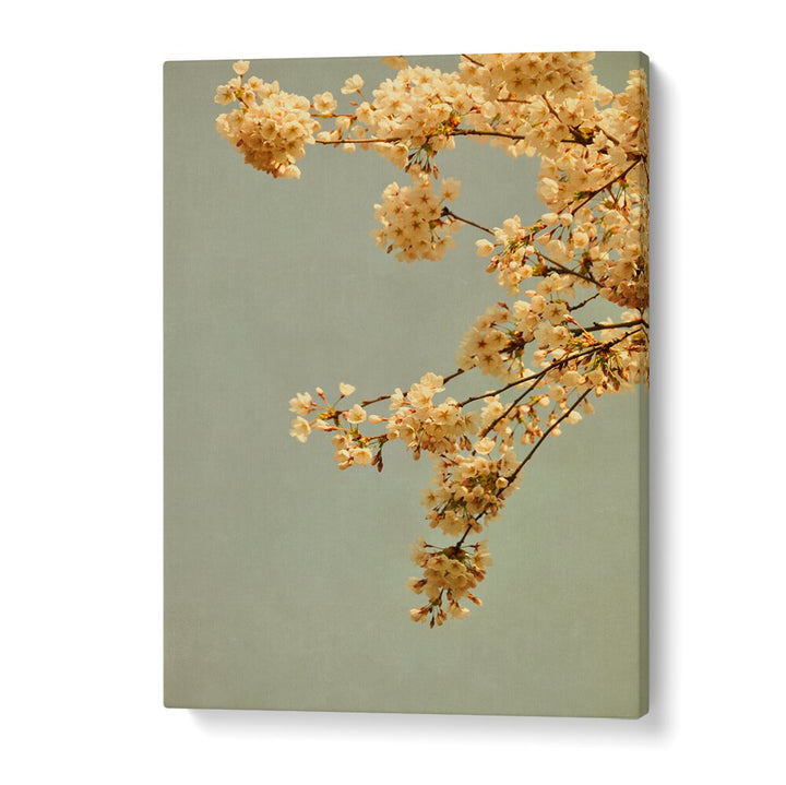 Capture the beauty of Spring Morning, Floral Flower Paintings with delicate blooms against a soft backdrop.