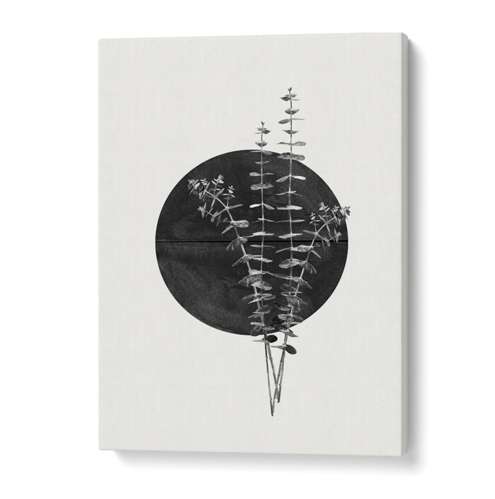 Transform your space with PLANT AND BLACK SUN, FLORAL FLOWER PAINTINGS, featuring modern design and natural elements.