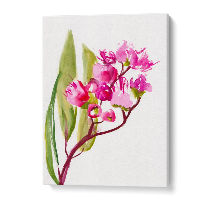 EUCALYPTUS , FLORAL FLOWER PAINTINGS