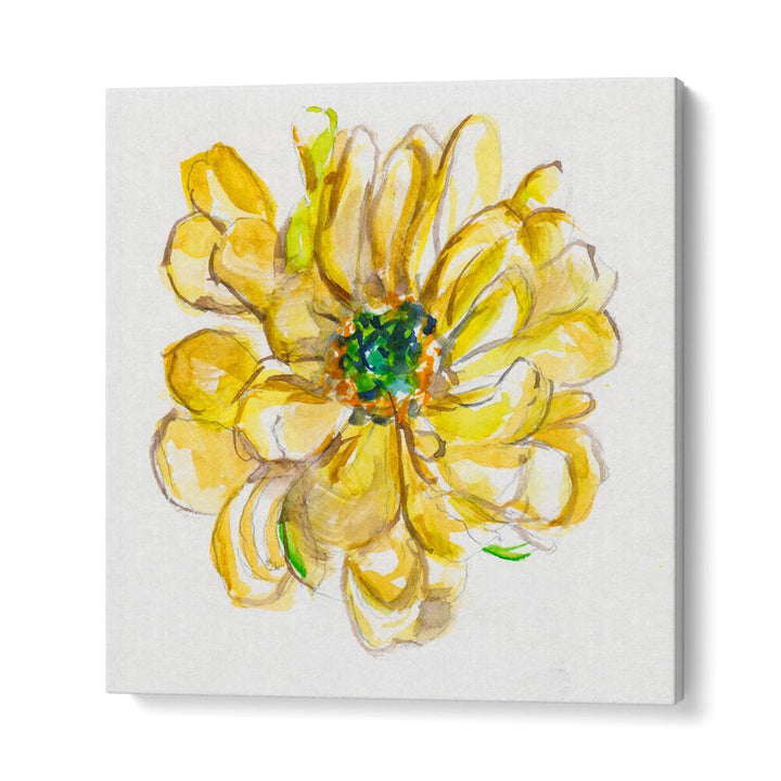 FLORAL SKETCH , FLORAL FLOWER PAINTINGS