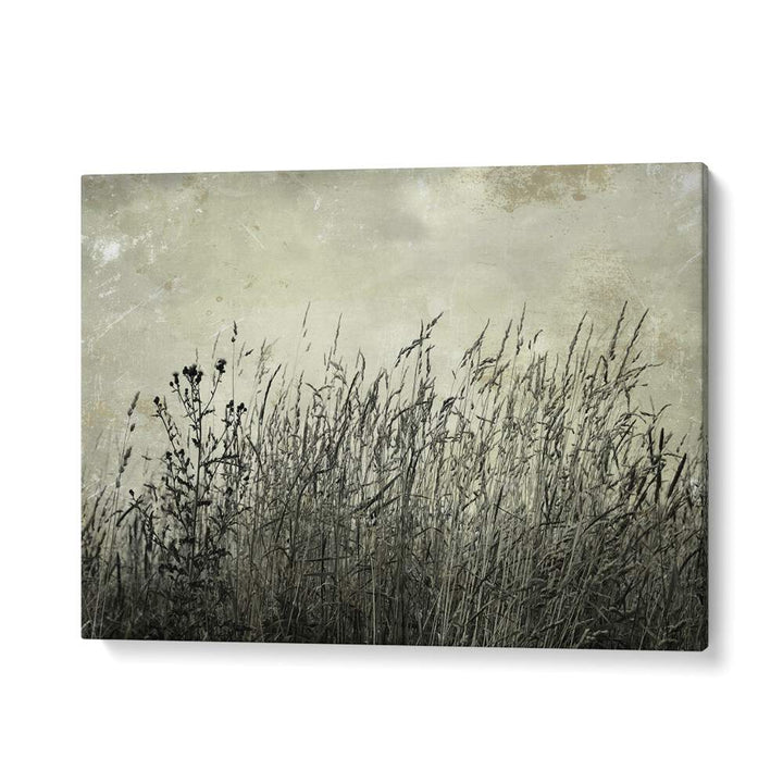 Elevate your decor with MEADOW, FLORAL FLOWER PAINTINGS, showcasing stunning abstract floral artistry.