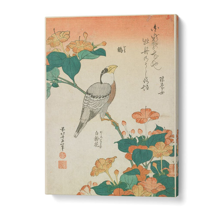HAWFINCH AND MARVEL-OF-PERU , VINTAGE PAINTINGS