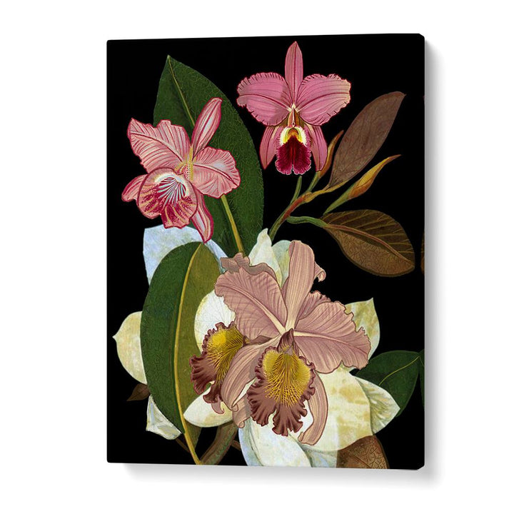 Elegant ORCHIDS II, FLORAL FLOWER PAINTINGS showcase vibrant blooms, perfect for enhancing any decor.