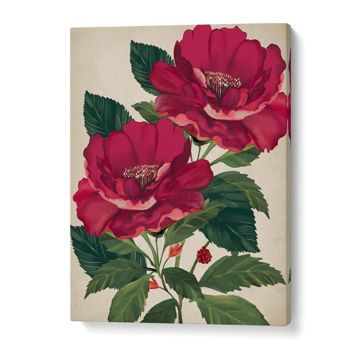 Vibrant ROSE OF PROVIDENCE, FLORAL FLOWER PAINTINGS, perfect for adding elegance and beauty to your decor.