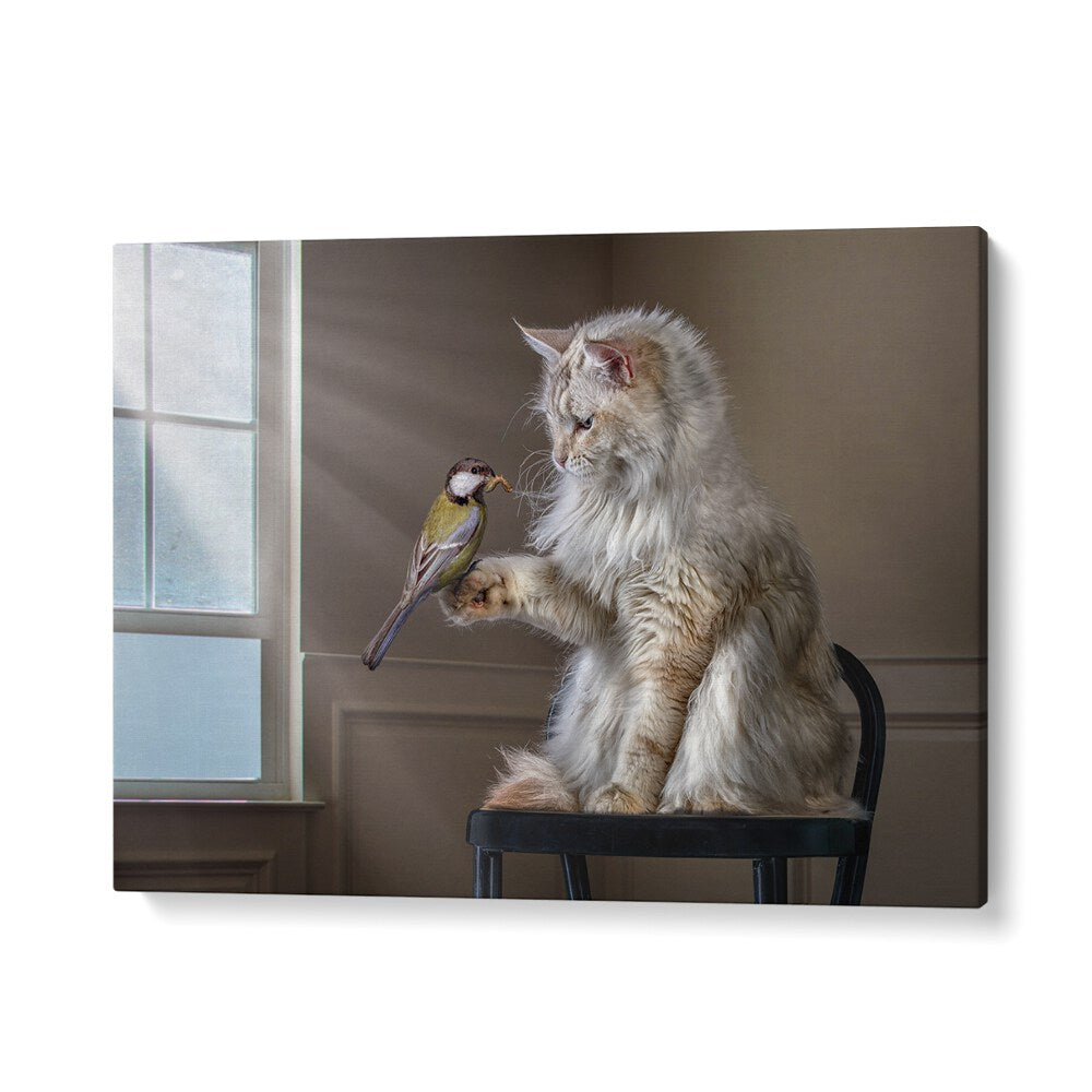 Surreal HELLO FRIEND, PHOTOGRAPHY PRINTS featuring a cat and bird in a whimsical setting, perfect for art lovers.