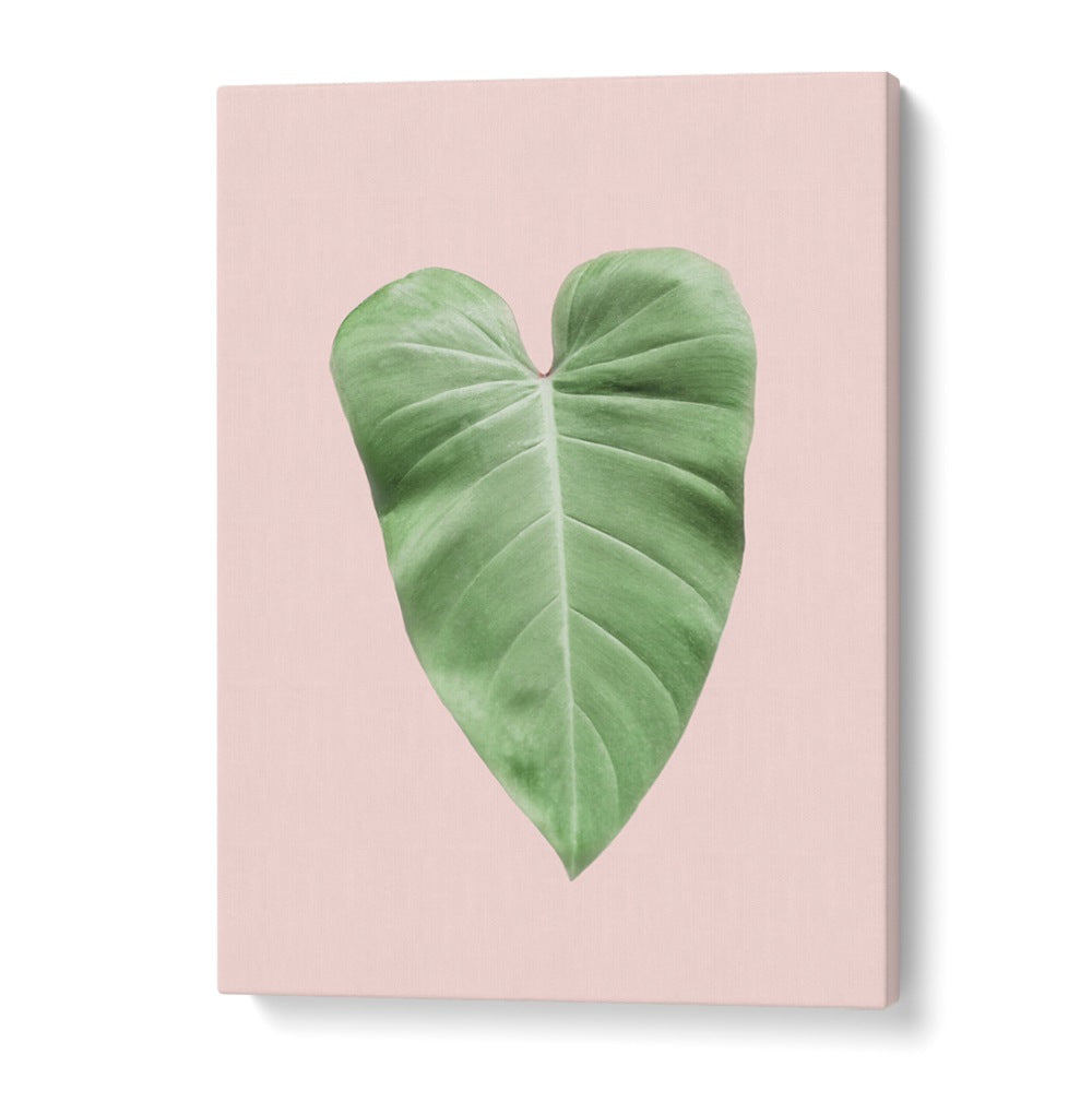 Vibrant TROPICAL LEAF BLUSH, FLORAL FLOWER PAINTINGS design adds a tropical touch to your decor. Perfect for any space!