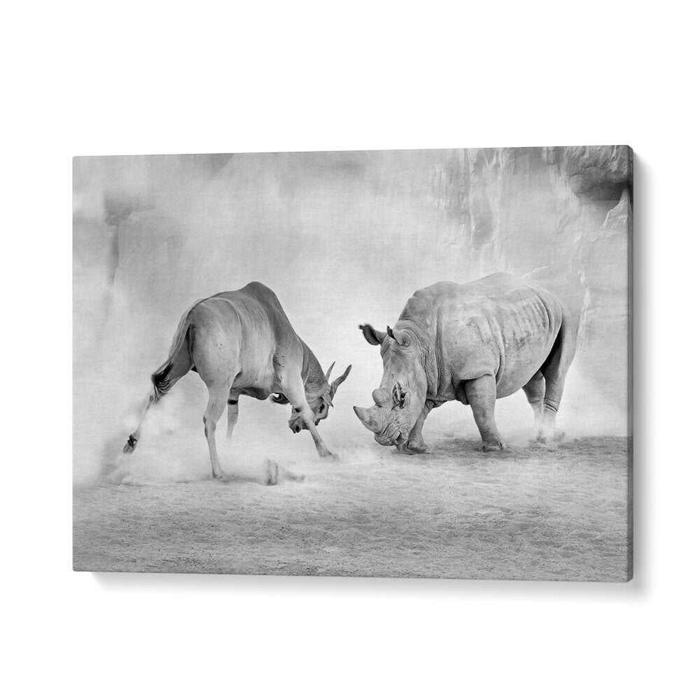 Dynamic scene of wildlife competition featuring a rhino and antelope from the COMBAT, PHOTOGRAPHY PRINTS collection.