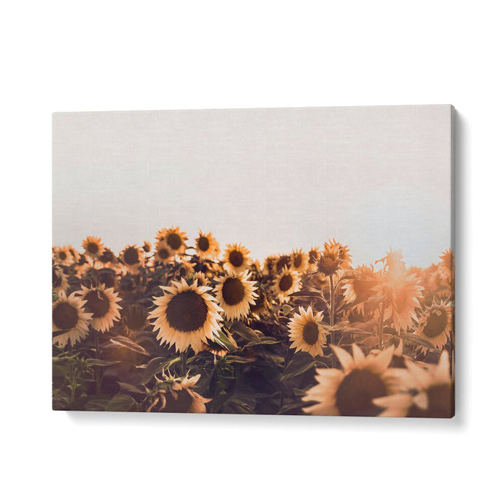 Vibrant SUNFLOWERS II , FLORAL FLOWER PAINTINGS brighten any room, bringing warmth and positivity to your home.