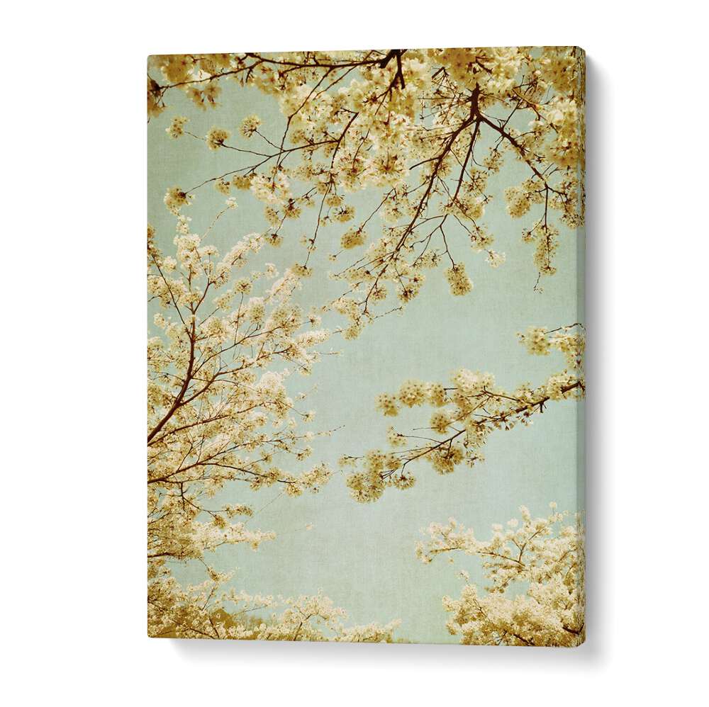 Delicate cherry blossoms against a vintage sky in the VINTAGE SKY, FLORAL FLOWER PAINTINGS collection.