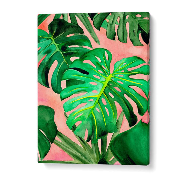 MONSTERA LARGE , FLORAL FLOWER PAINTINGS