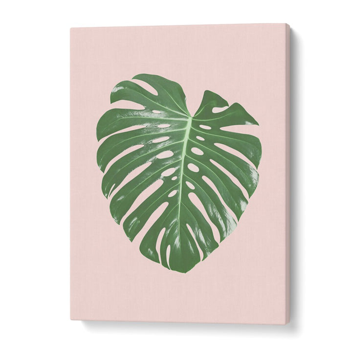 Stunning MONSTERA LEAF BLUSH, FLORAL FLOWER PAINTINGS, perfect for adding tropical elegance to any space.