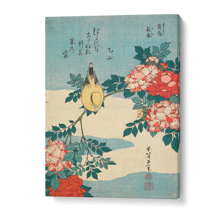 WARBLER AND ROSES , VINTAGE PAINTINGS