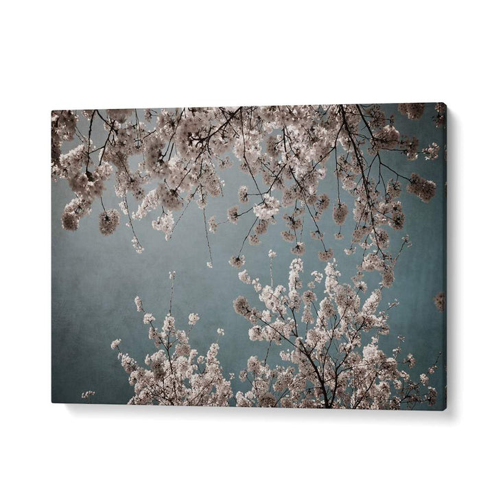 Elegant MOODY SPRING, FLORAL FLOWER PAINTINGS showcasing dreamy floral compositions against a serene background.