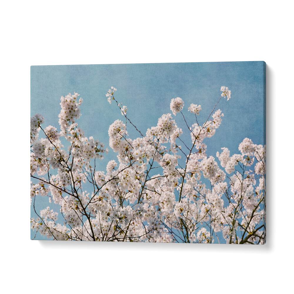 Stunning BLUE SKY BLOSSOMS, FLORAL FLOWER PAINTINGS featuring ethereal blooms against a serene blue sky backdrop.