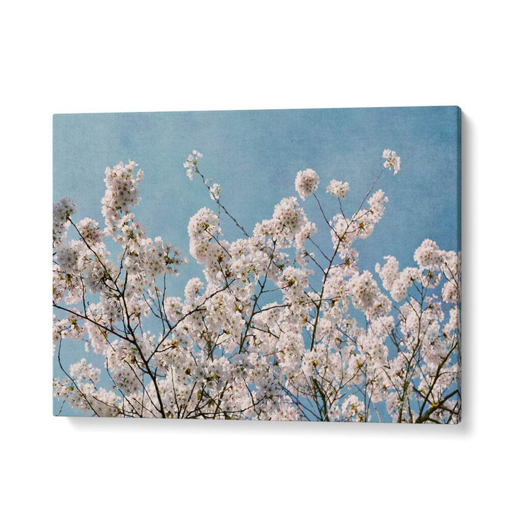Stunning BLUE SKY BLOSSOMS, FLORAL FLOWER PAINTINGS featuring ethereal blooms against a serene blue sky backdrop.