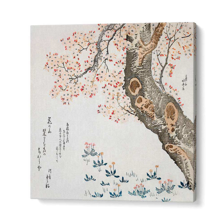 CHERRY TREE (1760–1849), VINTAGE PAINTINGS