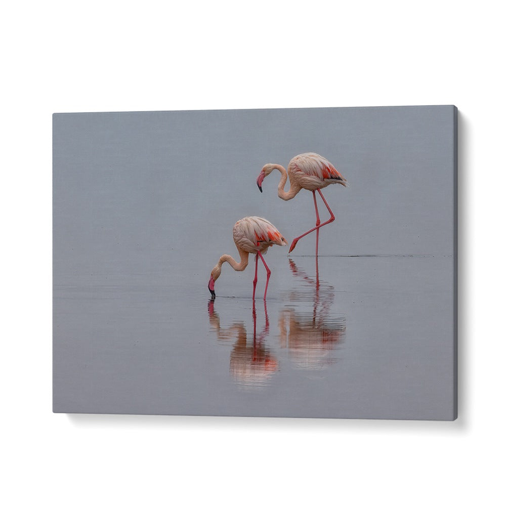 Graceful flamingos reflecting in calm waters, perfect for your home decor. Explore our FLAMINGOS, PHOTOGRAPHY PRINTS today!
