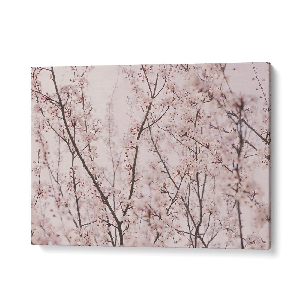 Delicate SPRING BLOSSOMS in soft hues, perfect for enhancing your space with FLORAL FLOWER PAINTINGS.