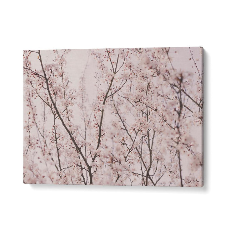 Delicate SPRING BLOSSOMS in soft hues, perfect for enhancing your space with FLORAL FLOWER PAINTINGS.