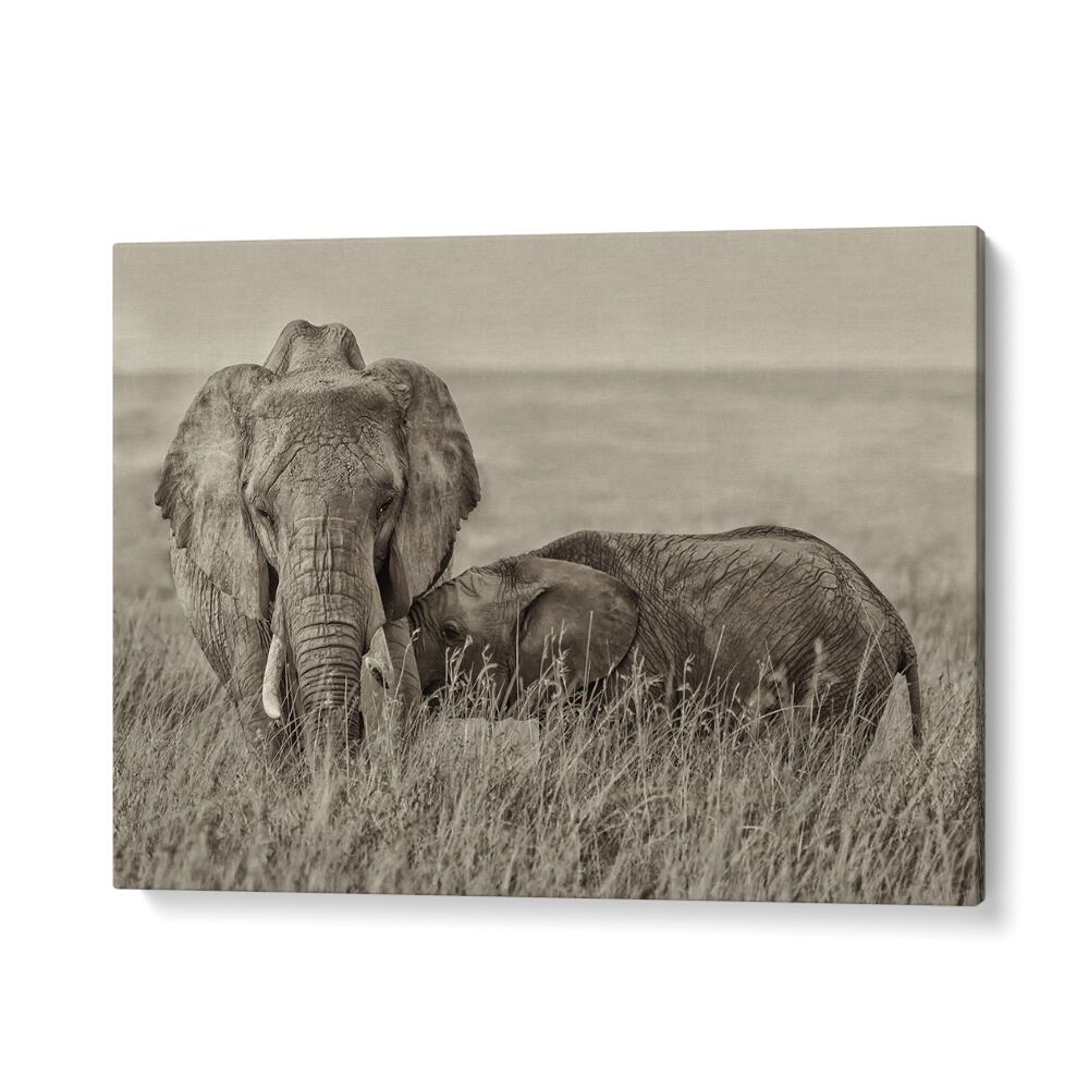 Captivating snuggling wildlife photography prints featuring an elephant and calf in a serene natural setting.