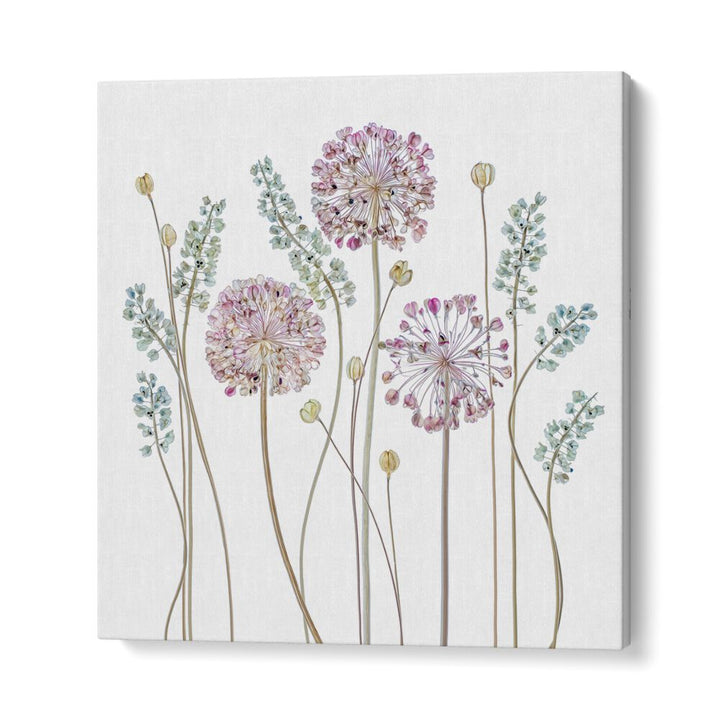 Elegant ALLIUM II, FLORAL FLOWER PAINTINGS featuring delicate blooms to enhance your home décor with charm.