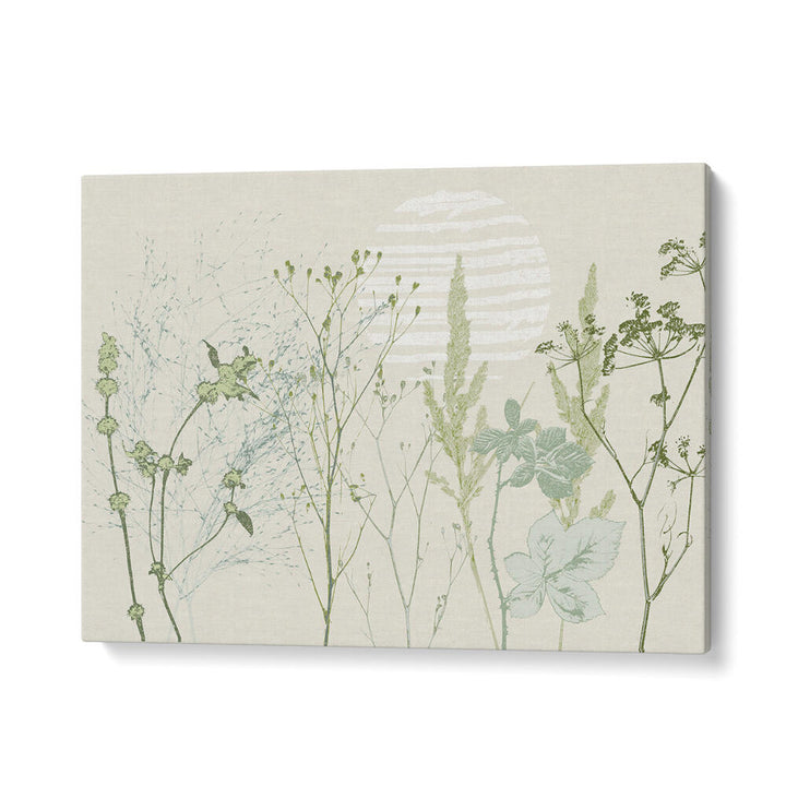 Serene Plant Calming, Floral Flower Paintings bring tranquility and beauty to any room, enhancing your space's ambiance.