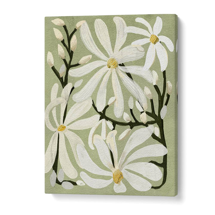 Delicate STAR MAGNOLI, FLORAL FLOWER PAINTINGS showcasing white magnolia blossoms against a soft green backdrop.