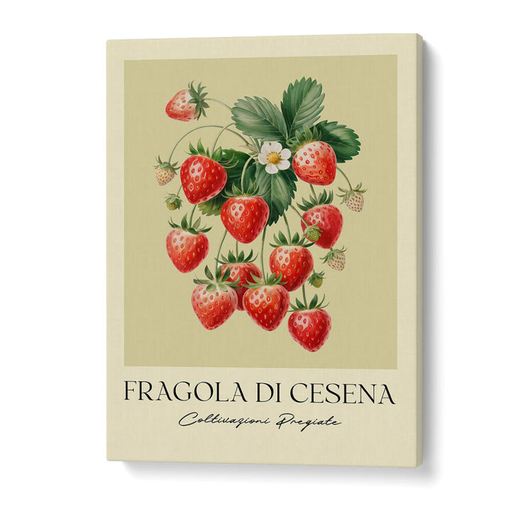 FRAGOLA DI CESENA , FLORAL FLOWER PAINTINGS