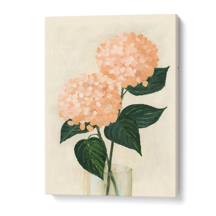 CORAL HYDRANGEAS IN A VASE , FLORAL FLOWER PAINTINGS