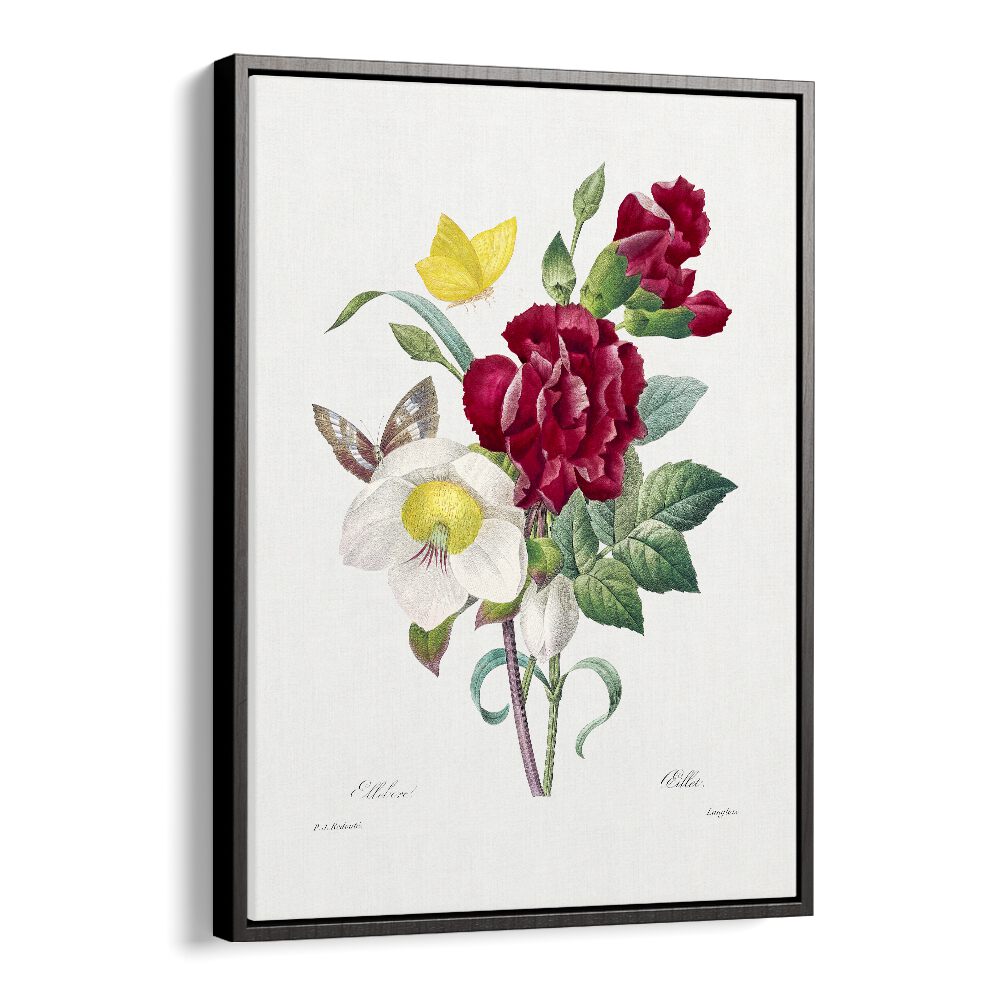 Elegant HELLEBORE AND OEILLET, FLORAL FLOWER PAINTINGS in a black floater frame, perfect for botanical decor.